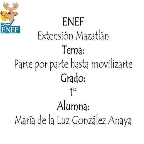 Tic programa educacion fisica