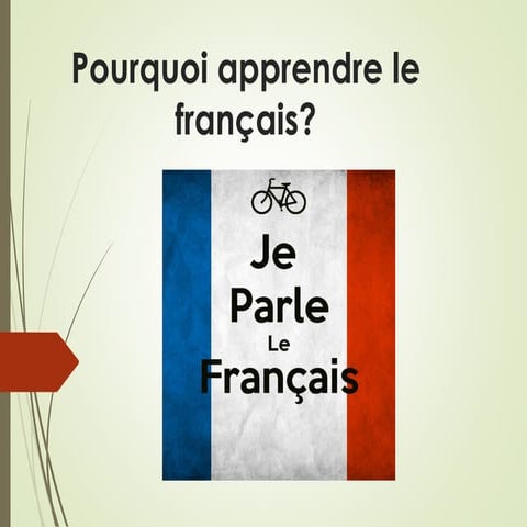 Tics francais