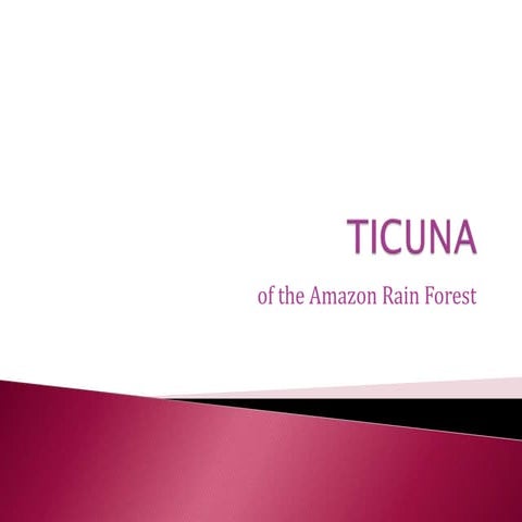 Ticuna ira 0220