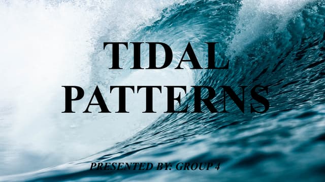 TIDAL PATTERNS GHGHBFSHFBSCJBDSFJDDDDDDDDDDDD