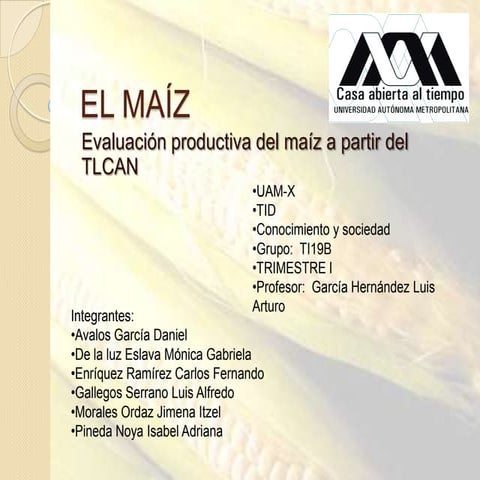 Evaluación productiva del maíz a partir del TLCAN 