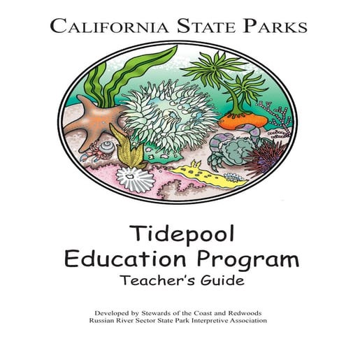 Tidepool teacher's guide