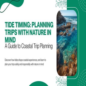 Tide Timing: Essential Guide to Safe and Responsible Coastal Trip ...