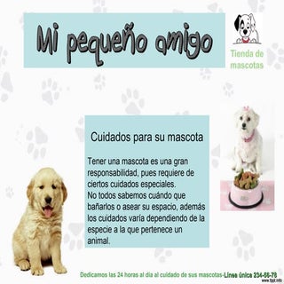 Tienda de mascotas
