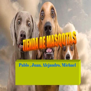 Innovando: Tienda de mascotas-Juan-...