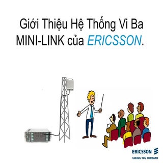 Tieng viet mini link survey
