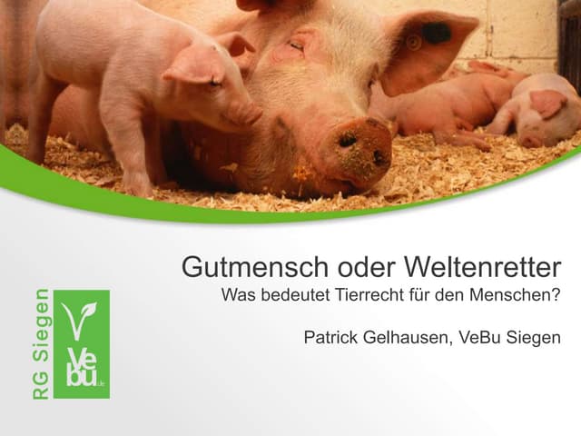 Gutmensch oder Weltenretter