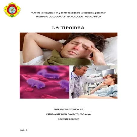 la fiebre tifoidea. Toledo Alva Juan David