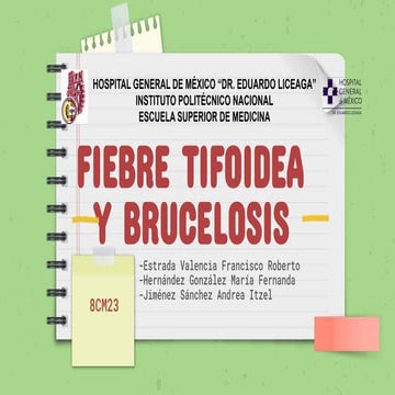Presentacion de fiebre tifoidea y brucelosis- INFECTOLOGIA
