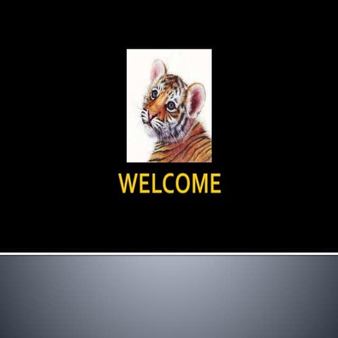 Tiger conservation measures in india 