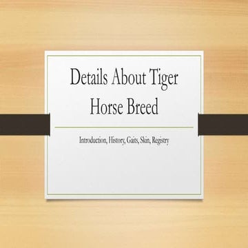 Tiger Horse Breed Registry Details