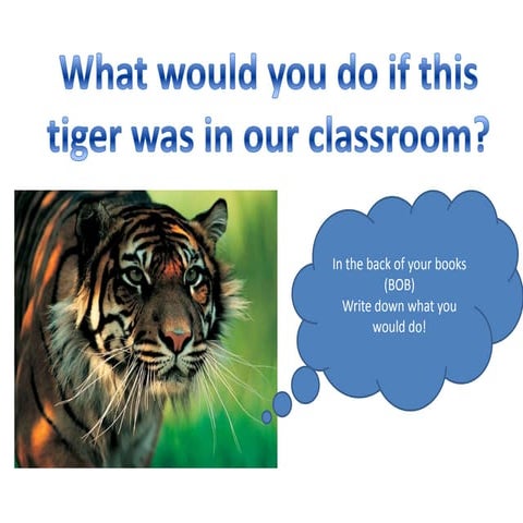 Tiger in classroom scenario