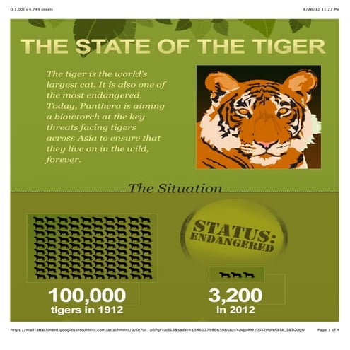 Troubling Tiger Facts from Panthera | PDF