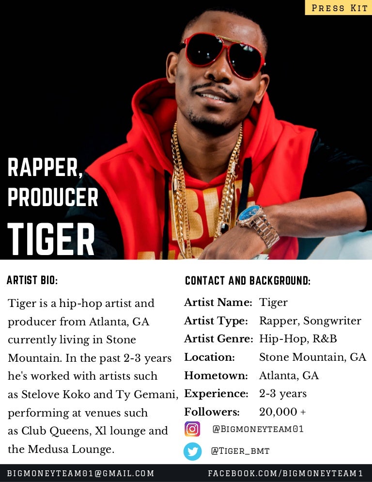 Tiger Electronic Press Kit