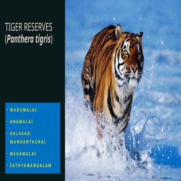 Project tiger | PPTX