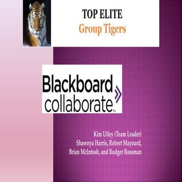 Tigers Bb collaborate presentation