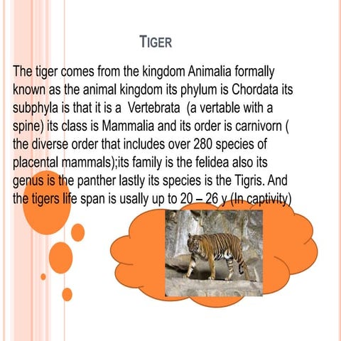Tiger science animal kingdom | PPTX