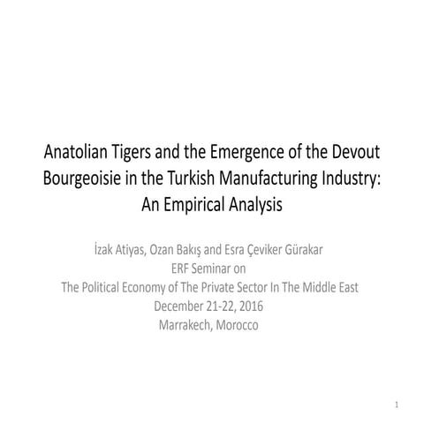 Anatolian Tigers and the Emergence of the Devout Bourgeoisie in the Turkish M...