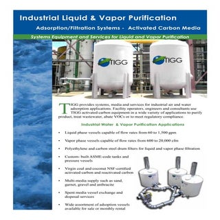 TIGG Industrial Water and Air Purif...