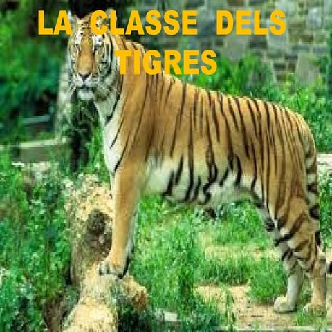 Tigres 2014 '15 | PPT