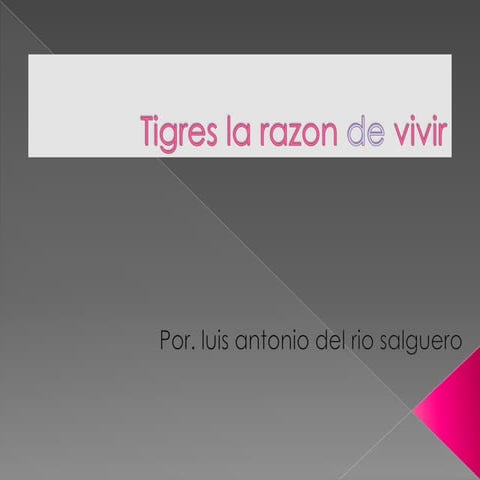 Tigres la razon de vivir
