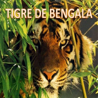Tigris