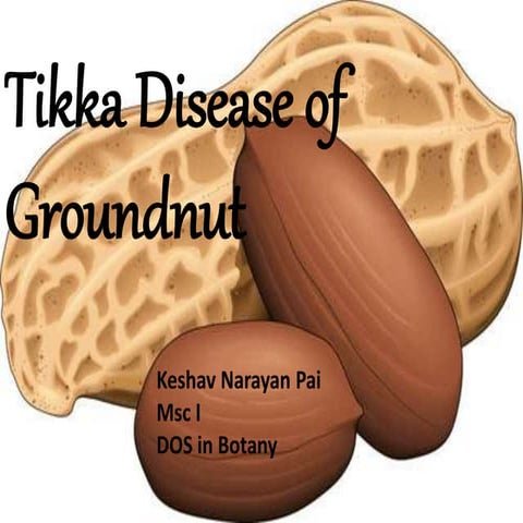 Tikka disease of groundnut