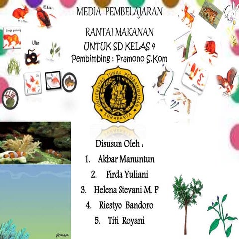 Process Improvement Certificate Pdf