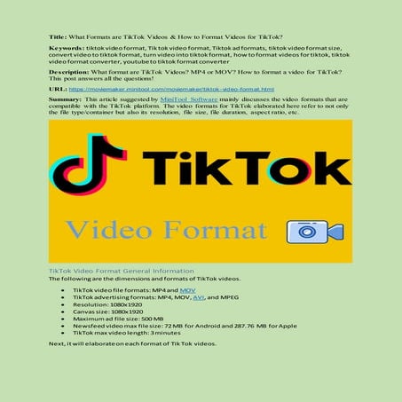 tiktok-video-format.docx