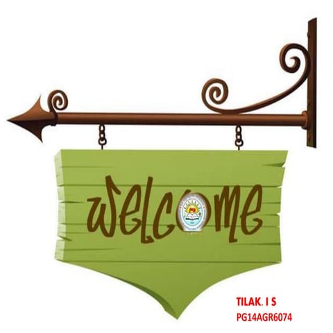 Molecular Analysis Of SAM & RAM