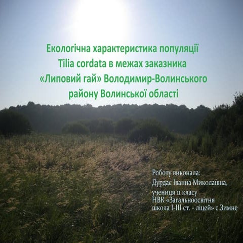 Tilia cordata в межах заказника