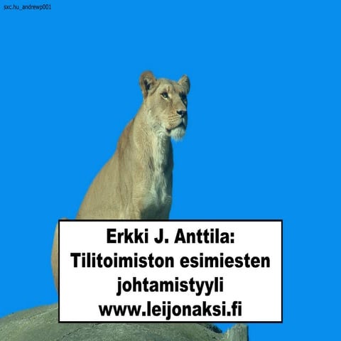 Tilitoimiston esimiesten johtamistyyli