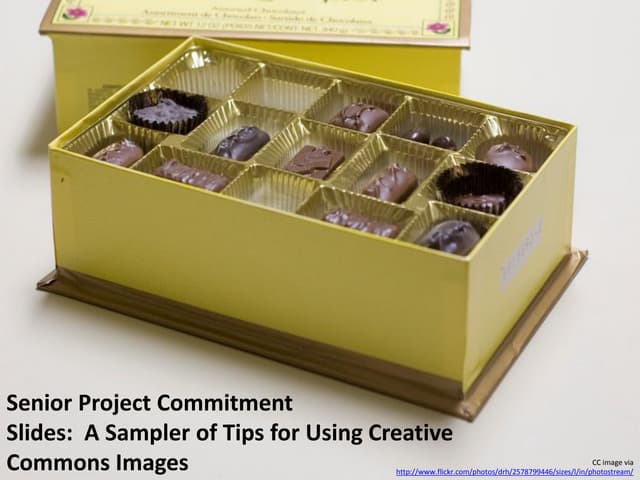 Tillery Version Copyright Friendly Images and How To Senior Project Commitmen...