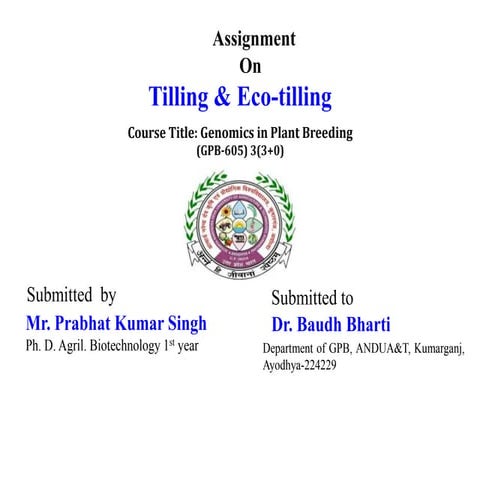 Tilling & Eco-tilling.pptx