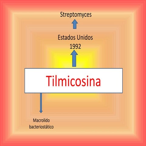 Tilmicosina