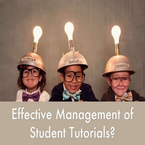 Tilt Personalisation Event Sept 2016: Effective Management of Student Tutorials?