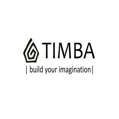 Timba pitch proposal | PDF