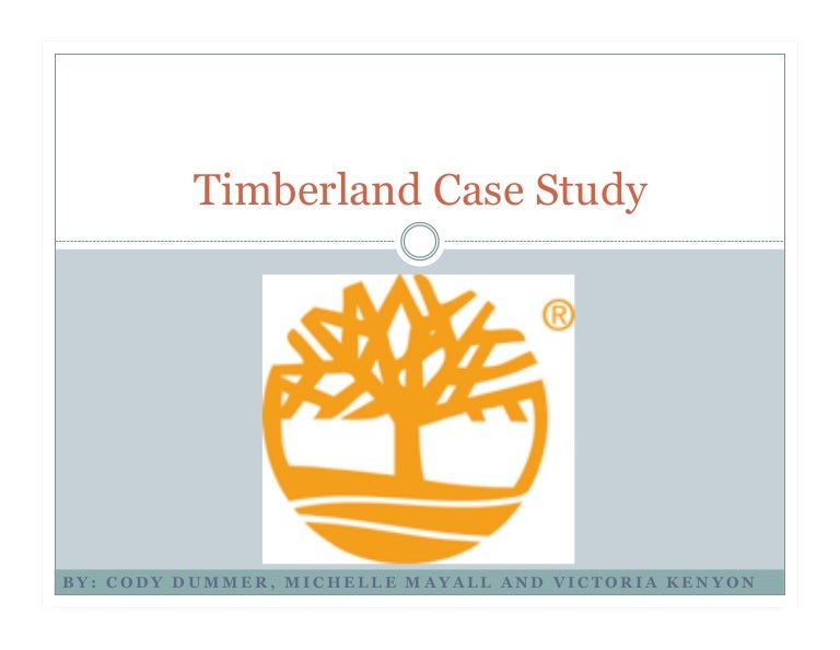Timberland target market image
