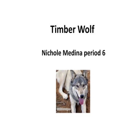 Abigail's powerpoint | PPTX