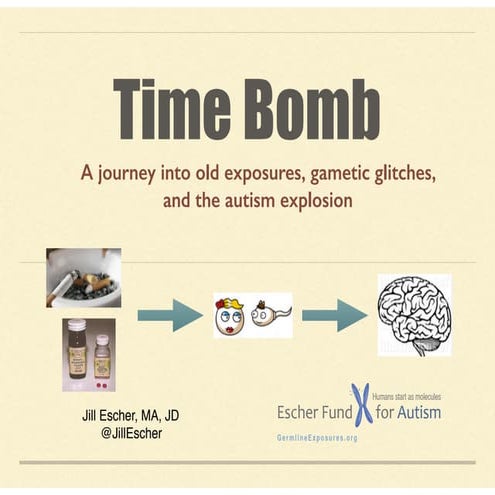 Time Bomb : a Journey into Old Exposures, Gametic Glitches, and the Autism Ex...