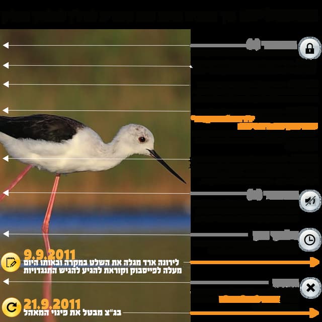 השלבים להריסת פנינת הנוף בנחשולים כדי להפוך לכפר נופש לאלפיון