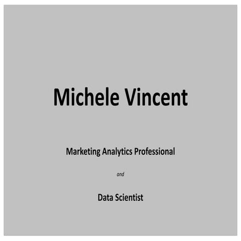 Michele Vincent, Marketing Analytics Professional