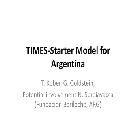 TIMES-Starter Model for Argentina