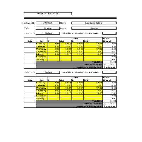 Timesheet | PDF