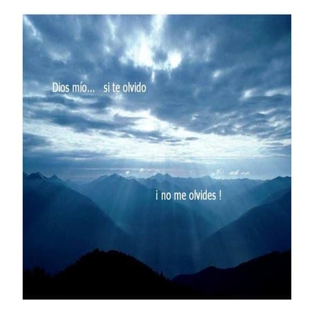 Timo, ganglio y bazo