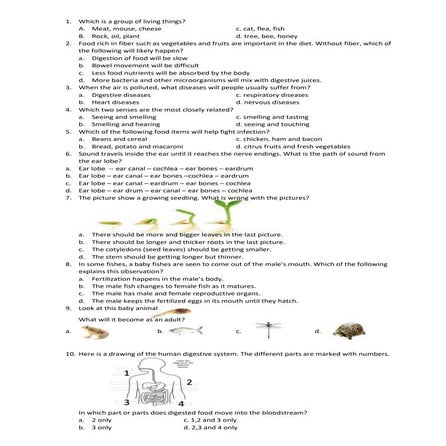 TIMSS Like REviewer.docx