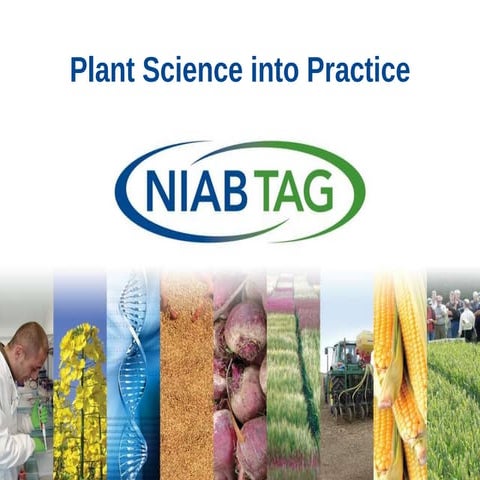 Plant science into practice - Tina Barsby (NIAB)