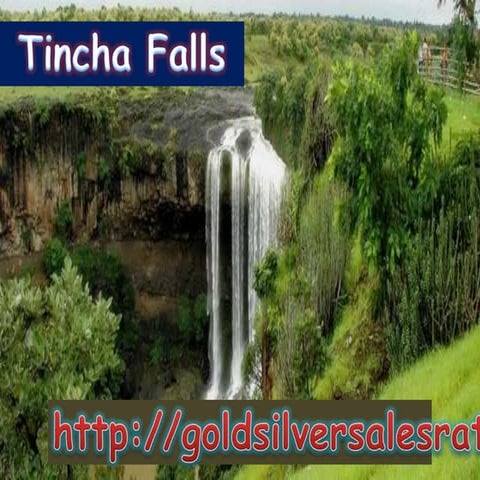 Tinchafall picnic spot