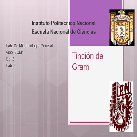 Tinción de gram