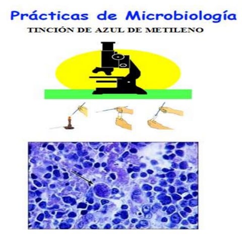 Tinción azul d metileno....